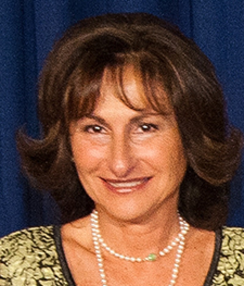 2012 Turner Lidia