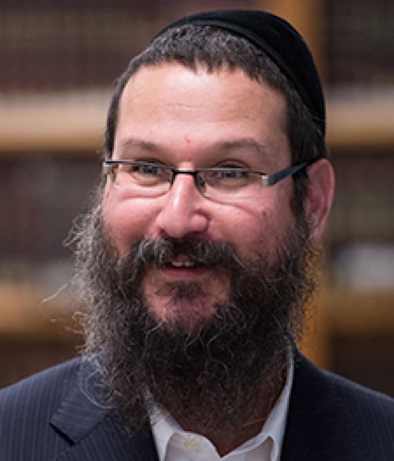 2014 Menachem Mendel Greenbaum