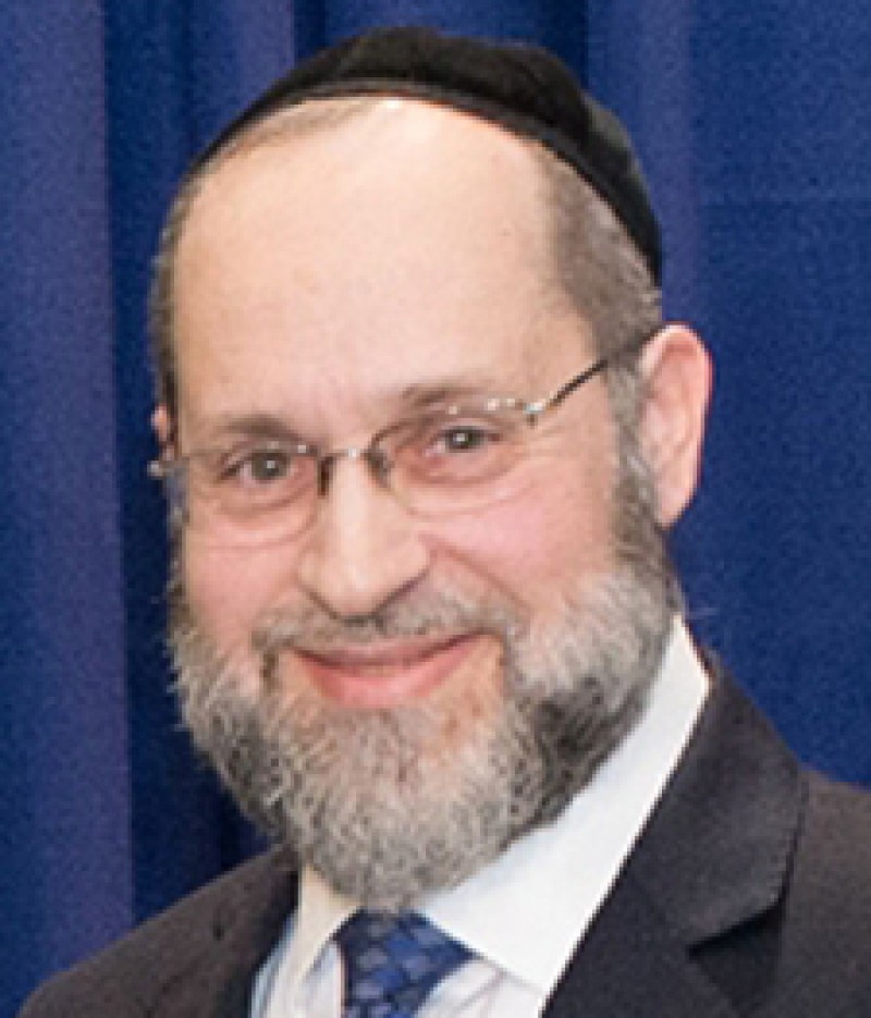 2016 chaim trainer