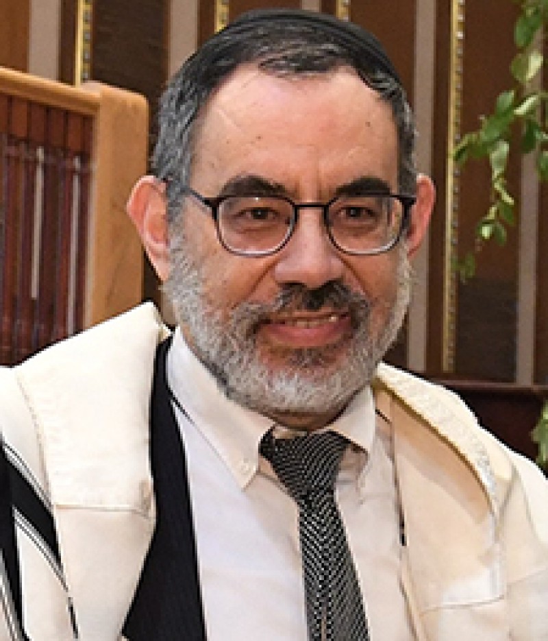 Rabbi Avraham Berman Bio
