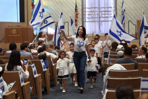 2024 einav telem flags