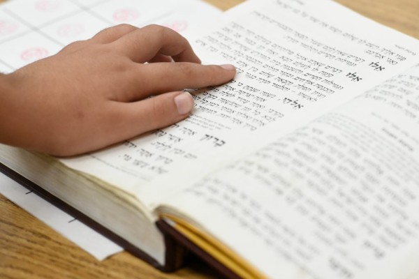 Rabbi Chaim Trainer Notification