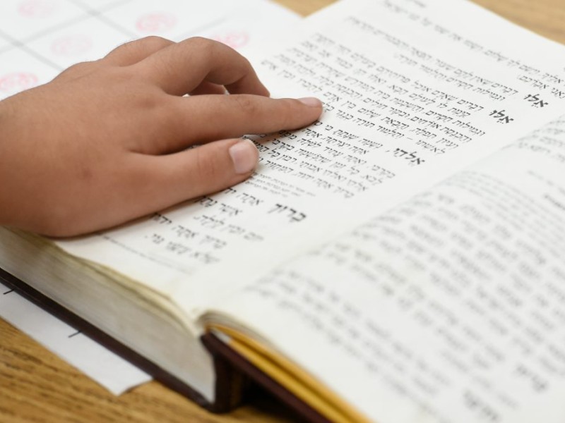 Rabbi Chaim Trainer Notification